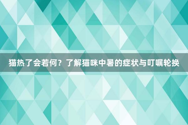 猫热了会若何？了解猫咪中暑的症状与叮嘱轮换