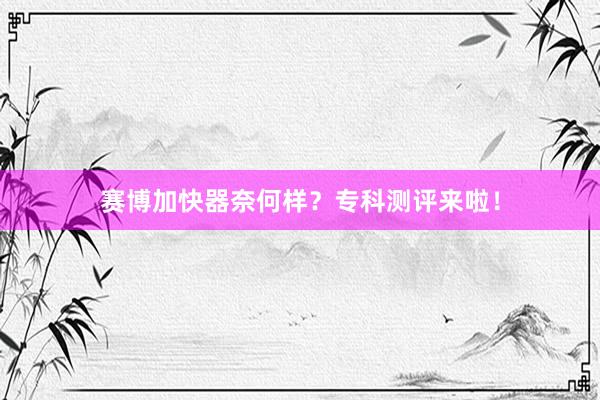 赛博加快器奈何样？专科测评来啦！